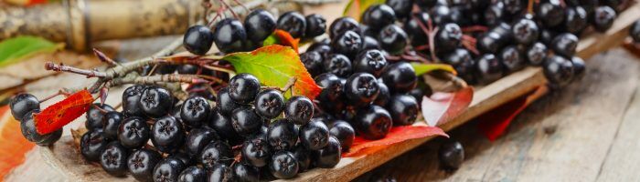 Aronia - właściwości lecznicze i składniki odżywcze. Jak zrobić przetwory z aronii? Owoce aronii i jesienne liście leżą na długiej drewnianej desce na starym rustykalnym stole.
